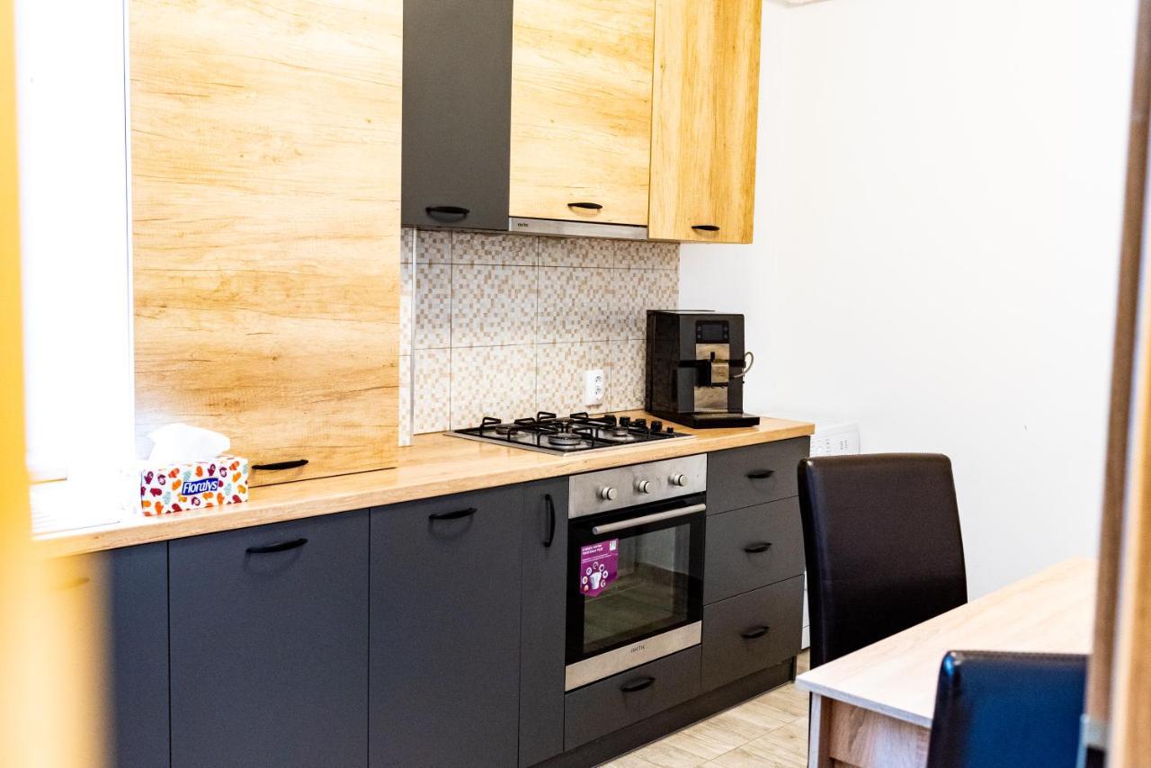 Thome Ego Flat Cluj-Napoca Ngoại thất bức ảnh