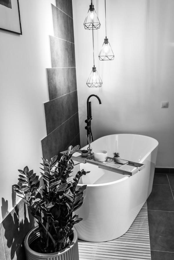 Thome Ego Flat Cluj-Napoca Ngoại thất bức ảnh